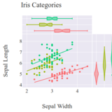 Marginal Distribution Plots