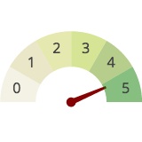 Gauge Charts