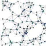 Network Graph